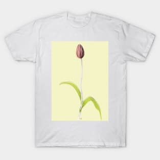 Delicate Tulip Bud with Leaves T-Shirt